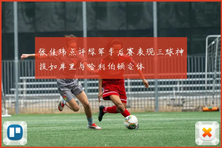 张佳玮点评绿军季后赛表现三球神技如库里与哈利伯顿合体