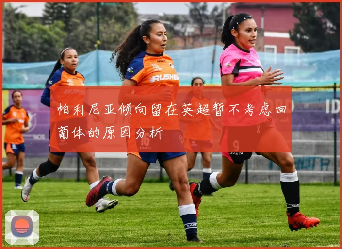 帕利尼亚倾向留在英超暂不考虑回葡体的原因分析